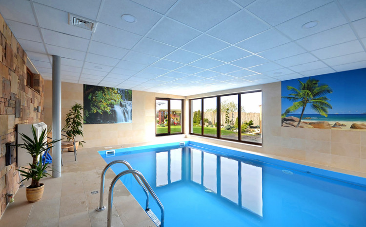 wellness