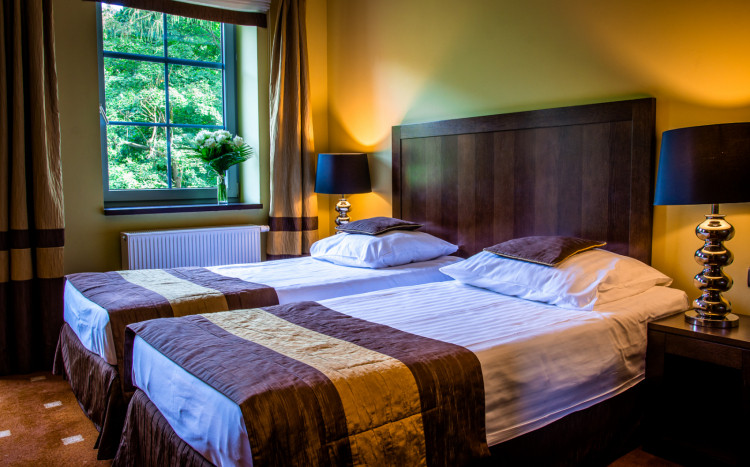 dwór elizy, pokój hotelowy
